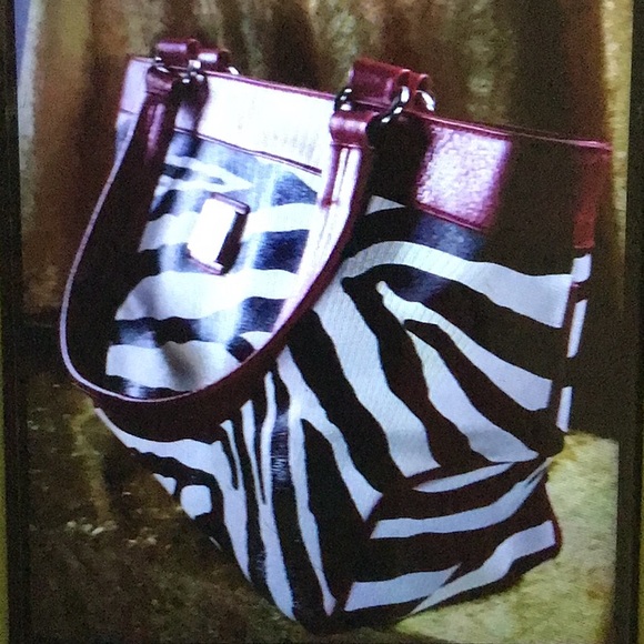 Dooney and Bourke zebra print tote - Picture 4 of 11